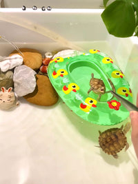 Miniature Inflatable Turtle Swimming Ring Aquarium Decoration Toy