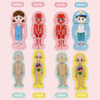 Kids Montessori Wooden Human Anatomy Puzzle Toy for Early Education