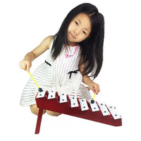 Orff 33-Piece Percussion Instrument Set for Kids