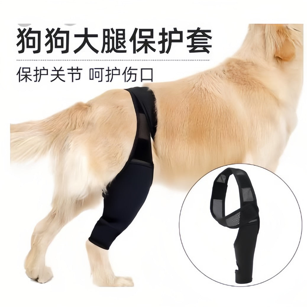 Pet Leg Brace for Post-Surgery Recovery and Injury Support