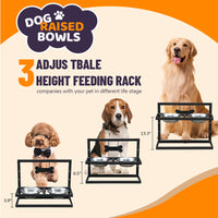 Elevated Double Stainless Steel Pet Bowls for Dogs and Cats, Removable Food and Water Feeder with Stand