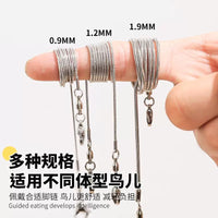 Parrot Stainless Steel Ankle Chain Leash for Small to Medium Birds