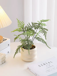 Artificial Bamboo & Money Tree Potted Plants for Desktop Decor