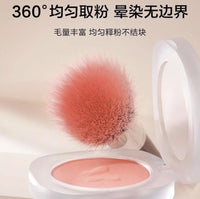 White Wooden Handle Double-Layer Wool Blusher Blending Brush Set