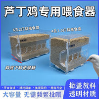 True Love Pet Quail Feeder Anti-Scatter Automatic Food Dispenser for Rutin Chickens