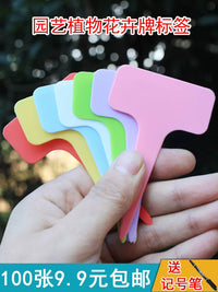 Thickened Plastic T-Type Plant Labels for Gardening Pots and Succulents