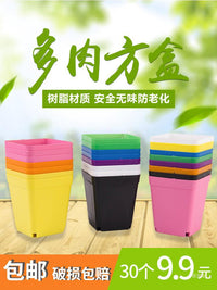 Colorful Plastic Succulent Planters with Trays - 10cm Square Nursery Pots for Seedlings