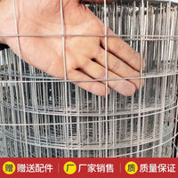 Galvanized Steel Wire Mesh Fence for Poultry, Garden, and Pest Control