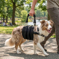 Pet Dog Mobility Aid Harness for Injured Senior Dogs Post-Surgery Rehabilitation Support