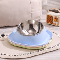 Tilted Stainless Steel Pet Bowl for Healthy Eating and Drinking, Easy to Clean