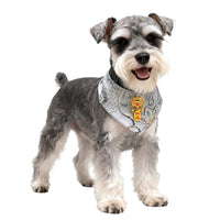 Pet Chinese New Year Tang Suit Cloak for Cats and Dogs, Traditional Hanfu Wedding Attire for Teddy Bichon