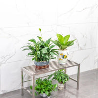 Stainless Steel Single-Tier Plant Stand for Indoor and Outdoor Use