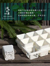Thickened Plastic Succulent Planter with 15-Cell Drip Tray for Seedling Propagation