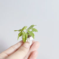 Miniature Potted Artificial Flowers and Plants for Dollhouse Decor and Photography Props