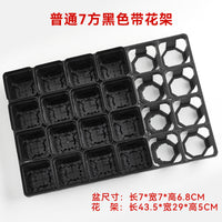 24-Hole Succulent Planter Tray with Optional Square Pots for Seedling Propagation