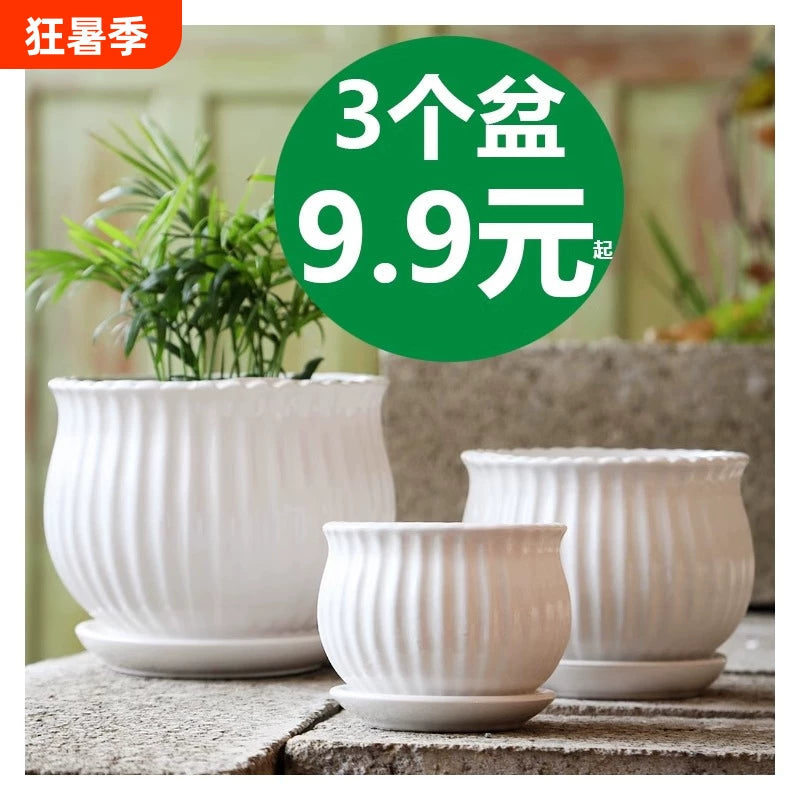 Large Ceramic Planter Pot with Tray for Orchids & Succulents, White Terracotta