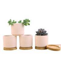 Unglazed Terracotta Succulent Planter Pot for DIY Painting