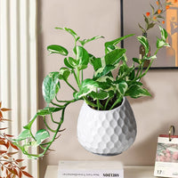 European Style Wall Mounted Ceramic Planter for Indoor/Outdoor Decor