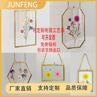 European Style Metal Glass Photo Frame for DIY Plant Specimens