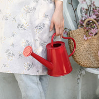 Red Iron Art Heart Handle Watering Can for Home Gardening