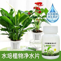 Aquatic Plant Water Purifying Tablets for Odor Removal, Sterilization, and Freshness