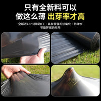 Agricultural Black Mulch Film for Weed Control and Soil Warming