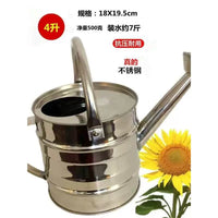 Stainless Steel Watering Can for Garden and Indoor Plants, Mini Lightweight Design