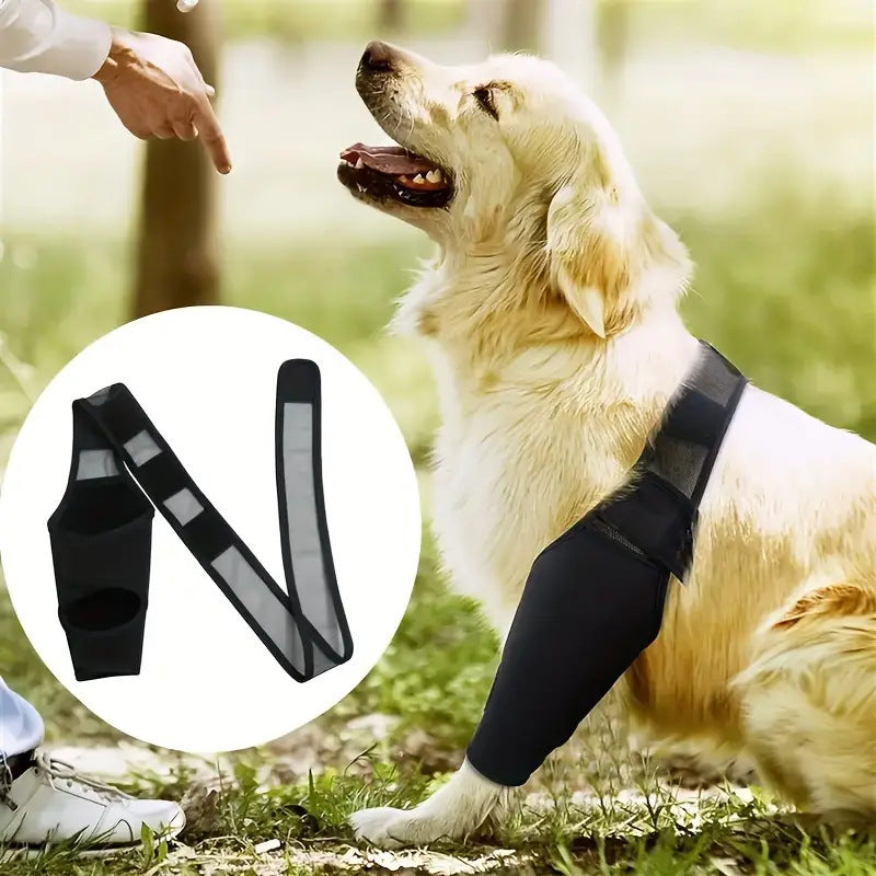 Dog Thigh Brace & Knee Protector for Injury Recovery and Support