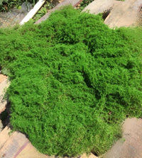 Artificial Moss Blocks for Landscaping and Decoration, Flexible and Stretchable