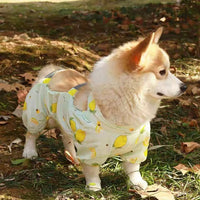 Waterproof Reflective Dog Belly Bib Anti-Fouling Pants for Small to Medium Dogs Outdoor Walking