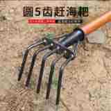 5-Tine Clam Rake Head or Set for Beachcombing and Gardening