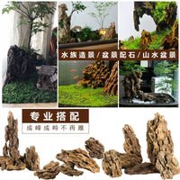 Natural Pine Bark Rock for Aquarium Landscaping and Micro-Landscape Decor