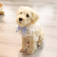 Pet Cat Dog Lace Bowknot Flower Pearl Saliva Towel Collar
