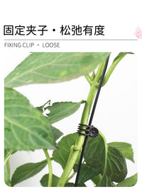 Orchid Plant Support Stakes and Clips for Climbing Vines and Floral Arrangements