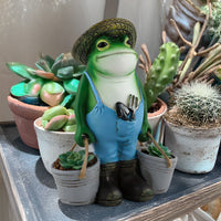 Frog Planter Garden Decor for Outdoor Patio Balcony Succulents