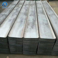 Galvanized Waterstop Steel Plate for Construction, 300mm Width, Various Lengths and Thicknesses