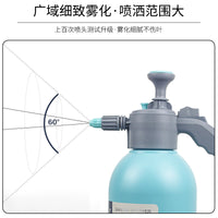 Flower Doctor Dual-Mode Pressure Sprayer for Watering Plants, Large Capacity Household Air Pressure Watering Can