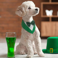 St. Patrick's Day Pet Bandana Scarf with Hook and Loop Closure