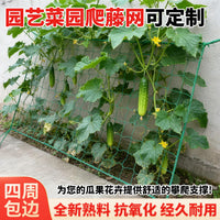 Plant Climbing Net for Vegetables, Cucumbers, Loofahs, and Beans - Durable Garden Trellis Netting with Edging Rope