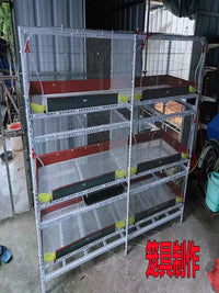 Galvanized Welded Wire Mesh for Poultry Cages, Rabbit Hutches, Pigeon Enclosures, and Fencing