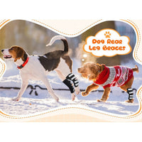Pet Dog Knee Brace for Injury Recovery and Support