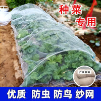 Insect Netting for Vegetable Gardens, 80 Mesh Thickened Agricultural Anti-Insect Screen for Greenhouses and Balconies