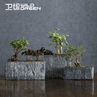 Weilu Creative Nordic Rectangular Imitation Stone Cement Planter for Indoor Plants