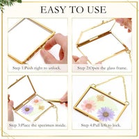 3.5x2.5 Inch Brass Hanging Glass Photo Frame for Pressed Flowers and Art