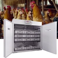 Incubator Accessories: Egg Turning, Humidification, Heating, and Control Systems