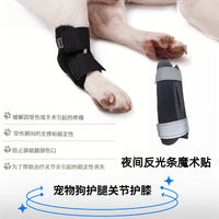 Pet Dog Leg Brace for Injury Recovery, Joint Support, and Post-Surgery Healing