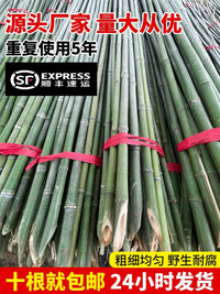 Bamboo Garden Stakes for Climbing Plants, Vegetables, and Fences