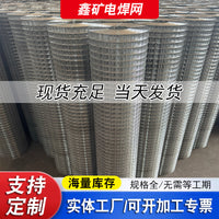 Galvanized Welded Wire Mesh for Plastering and Wall Insulation, Anti-Crack Reinforcement