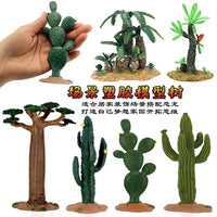 Artificial Tropical Plant Models Cactus Baobab Tree Micro Landscape Ornaments