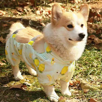 Waterproof Reflective Dog Belly Bib Anti-Fouling Pants for Small to Medium Dogs Outdoor Walking